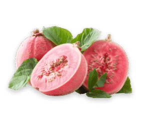 guava